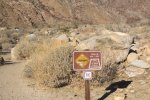 Click to enlarge Anza-Borrego Desert State Park, California, United States. Palm Canyon Trail