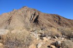 Click to enlarge Anza-Borrego Desert State Park, California, United States. Palm Canyon Trail