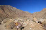 Click to enlarge Anza-Borrego Desert State Park, California, United States. Palm Canyon Trail