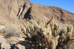 Click to enlarge Anza-Borrego Desert State Park, California, United States. Palm Canyon Trail