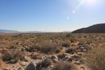 Click to enlarge Anza-Borrego Desert State Park, California, United States. Palm Canyon Trail