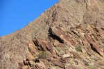 Click to enlarge Anza-Borrego Desert State Park, California, United States. Palm Canyon Trail
