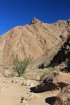 Click to enlarge Anza-Borrego Desert State Park, California, United States. Palm Canyon Trail