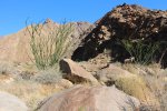 Click to enlarge Anza-Borrego Desert State Park, California, United States. Palm Canyon Trail