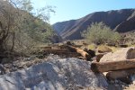 Click to enlarge Anza-Borrego Desert State Park, California, United States. Palm Canyon Trail