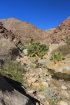 Click to enlarge Anza-Borrego Desert State Park, California, United States. Palm Canyon Trail