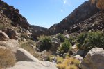 Click to enlarge Anza-Borrego Desert State Park, California, United States. Palm Canyon Trail