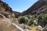 Click to enlarge Anza-Borrego Desert State Park, California, United States. Palm Canyon Trail