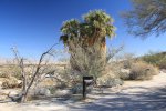 Click to enlarge Anza-Borrego Desert State Park, California, United States. Visitor Centre.