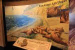 Click to enlarge Anza-Borrego Desert State Park, California, United States. Visitor Centre.
