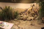 Click to enlarge Anza-Borrego Desert State Park, California, United States. Visitor Centre.