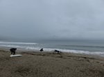 Doheny State Beach, California, United States. 
