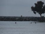 Doheny State Beach, California, United States. 