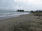 Doheny State Beach, California, United States. 