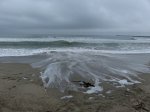 Doheny State Beach, California, United States. 