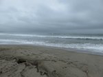 Doheny State Beach, California, United States. 