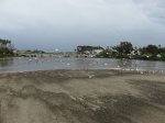 Doheny State Beach, California, United States. 