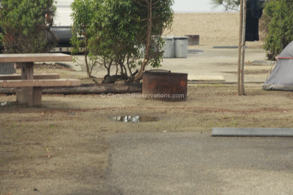 Doheny Stat Photo of Campsite 103 in Main Campground at Doheny State Beach ...