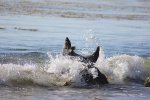 El Capitán State Beach, California, United States. El Capit�n State Beach