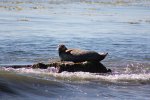 El Capitán State Beach, California, United States. El Capit�n State Beach