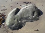 El Capitán State Beach, California, United States. El Capit�n State Beach