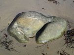 El Capitán State Beach, California, United States. El Capit�n State Beach