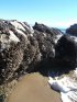 El Capitán State Beach, California, United States. El Capit�n State Beach