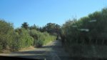 Click to enlarge Gaviota State Park, California, United States. Driving in to the park.