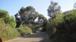 Click to enlarge Gaviota State Park, California, United States. Driving in to the park.