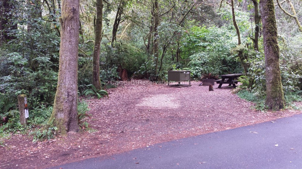 Campsite 098 in Jedediah Smith Redwoods State Park Campground at ...