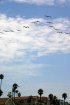 Click to enlarge South Carlsbad State Beach, California, United States. South Carlsbad State Beach