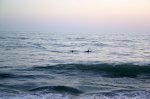 Click to enlarge South Carlsbad State Beach, California, United States. South Carlsbad State Beach