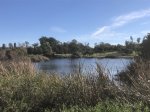 Click to enlarge Guajome Regional Park, California, United States. Lake