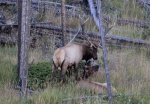Click to enlarge Rocky Mountain National Park, Colorado, United States.