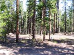 Click to enlarge Conifer Community Park at Beaver Ranch, Colorado, United States. Camp site #3