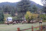 Click to enlarge Elk Meadow Lodge & RV Resort, Colorado, United States.