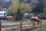 Click to enlarge Elk Meadow Lodge & RV Resort, Colorado, United States.