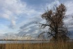 Click to enlarge Boyd Lake State Park, Colorado, United States.