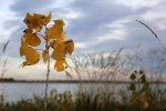 Click to enlarge Boyd Lake State Park, Colorado, United States.