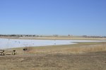 Click to enlarge Boyd Lake State Park, Colorado, United States. Ice Fishing out on the lake