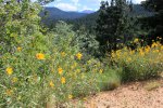 Click to enlarge Hermit Park Open Space, Colorado, United States.