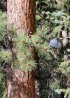 Click to enlarge Hermit Park Open Space, Colorado, United States.