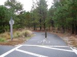 Cape Henlopen State Park, Delaware, United States. Bike Path