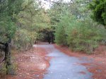 Cape Henlopen State Park, Delaware, United States. Bike path