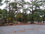 Cape Henlopen State Park, Delaware, United States. Camping area