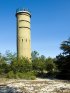 Cape Henlopen State Park, Delaware, United States. Standing Guard