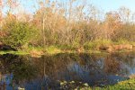 Click to enlarge Blue Cypress County Park, Florida, United States.