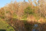 Click to enlarge Blue Cypress County Park, Florida, United States.