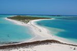 Click to enlarge Bird Island. The birds scream day and night...