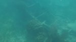 Click to enlarge Dry Tortugas National Park, Florida, United States. A sunken ladder off the shores of Dry Tortugas National Park. Found this while snorkeling.